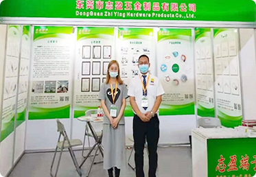 exhibitions