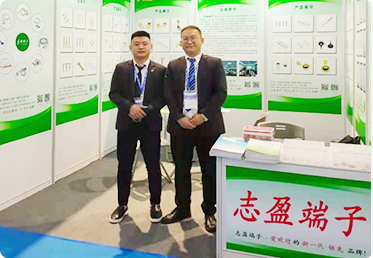 exhibitions