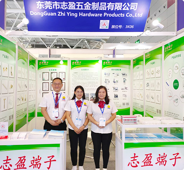 exhibitions
